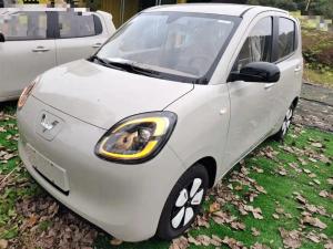 wuling hongguang mini ev 2025 Electric