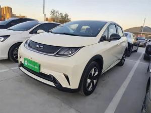 byd dolphin 2025 Electric