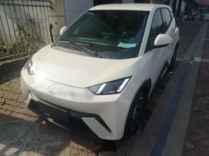 byd seagull 2024 Electric