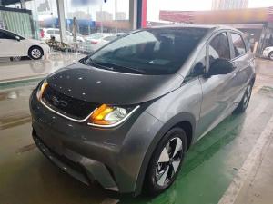 byd dolphin 2024 Electric