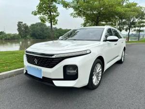 baojun valli 2022 Petrol