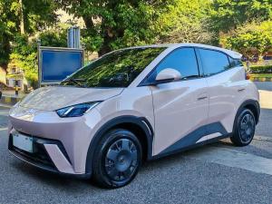 byd seagull 2024 Electric