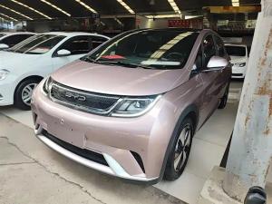 byd dolphin 2023 Electric