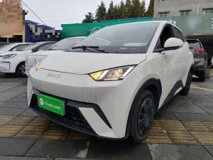 byd seagull 2025 Electric