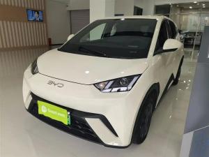 byd seagull 2024 Electric