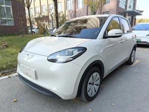 wuling bingo 2024 Electric