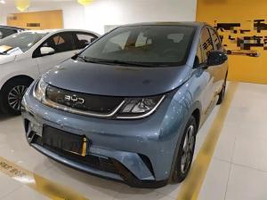 byd dolphin 2024 Electric