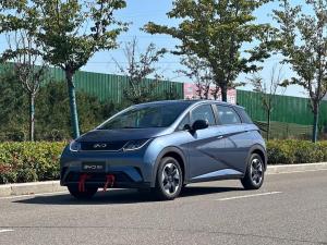 byd dolphin 2025 Electric