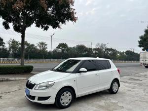 skoda fabia 2013 Petrol