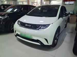 byd dolphin 2024 Electric