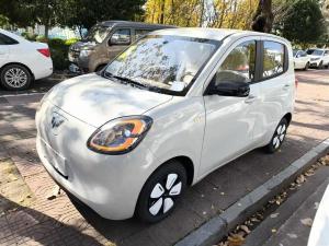 wuling hongguang mini ev 2025 Electric