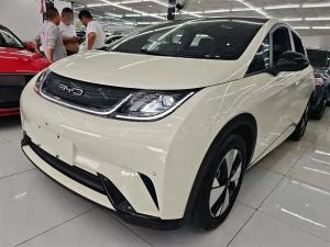 byd dolphin 2023 Electric