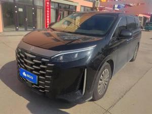 byd xia 2025 Plug-in hybrid