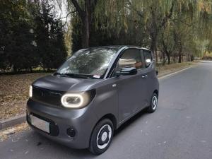 wuling hongguang mini ev 2024 Electric