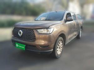 Great Wall POER 2020 Petrol