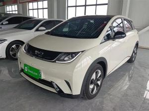 byd dolphin 2025 Electric
