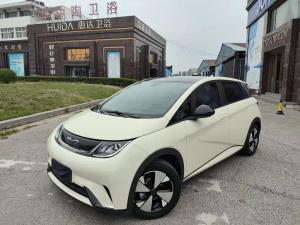 byd dolphin 2024 Electric