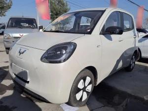 wuling hongguang mini ev 2025 Electric