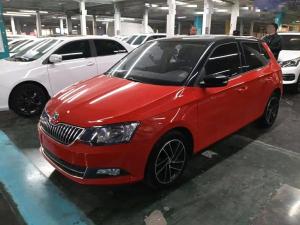 skoda fabia 2016 Petrol