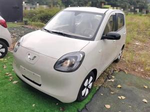 wuling hongguang mini ev 2025 Electric