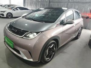 BYD Dolphin 2022 Electric