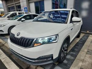 Skoda Kamiq 2021 Petrol