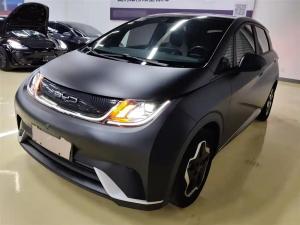 byd dolphin 2022 Electric