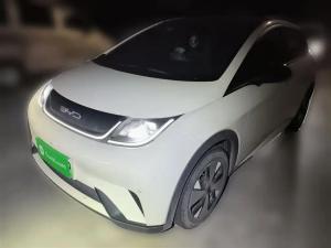 BYD Dolphin 2023 Electric