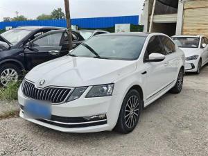 skoda octavia 2019 Petrol