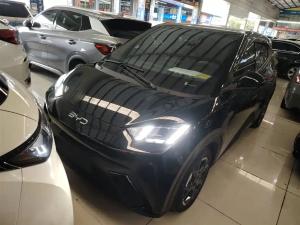 BYD Seagull 2025 Electric