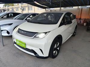 BYD Dolphin 2025 Electric