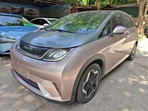 BYD Dolphin 2022 Electric