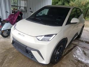 BYD Seagull 2024 Electric