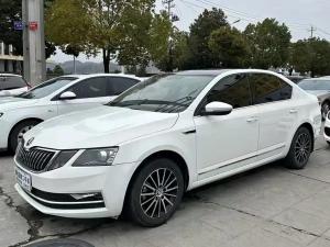 skoda octavia 2019 Petrol