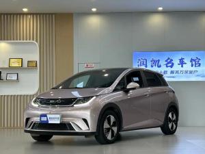 BYD Dolphin 2023 Electric
