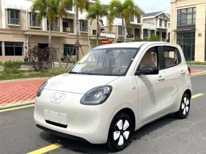 wuling hongguang mini ev 2025 Electric