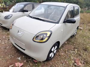 Wuling Hongguang MINI EV 2025 Electric