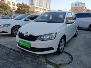 skoda fabia 2019 Petrol