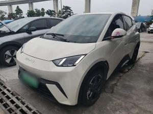 BYD Seagull 2024 Electric