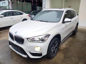 BMW X1 2019 Petrol