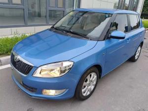 skoda fabia 2015 Petrol