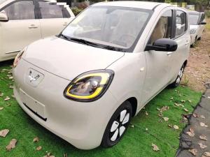 Wuling Hongguang MINI EV 2025 Electric