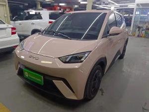 BYD Seagull 2024 Electric