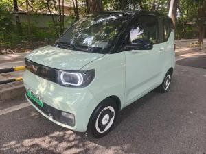 Wuling Hongguang MINI EV 2022 Electric