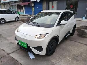 byd seagull 2025 Electric