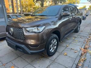 great wall poer 2021 Petrol