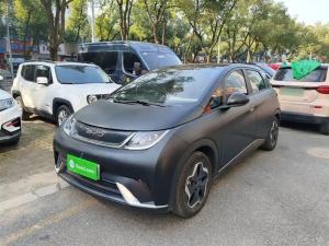 byd dolphin 2022 Electric