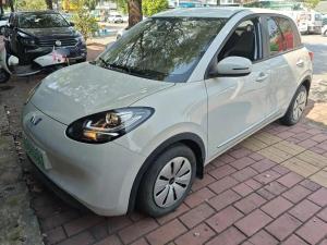 wuling bingo 2023 Electric