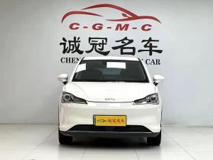 neta v 2023 Electric