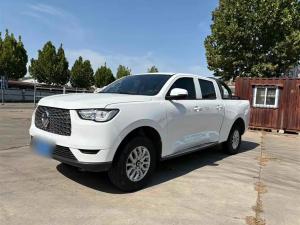great wall poer 2020 Petrol